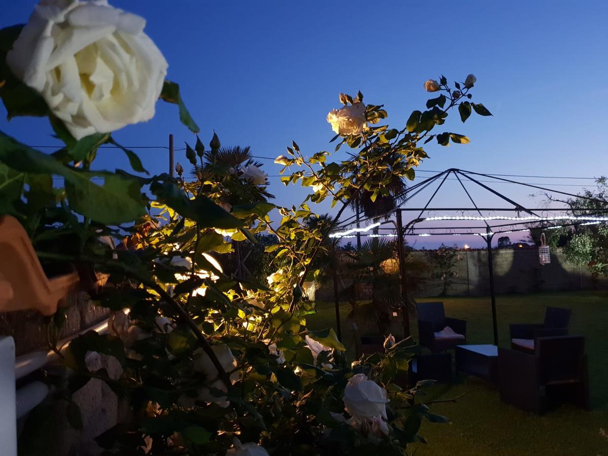 Villa Elegance Ladispoli Exterior photo
